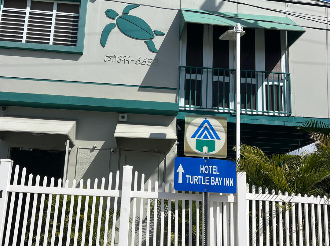 Turtle Bay Inn主图