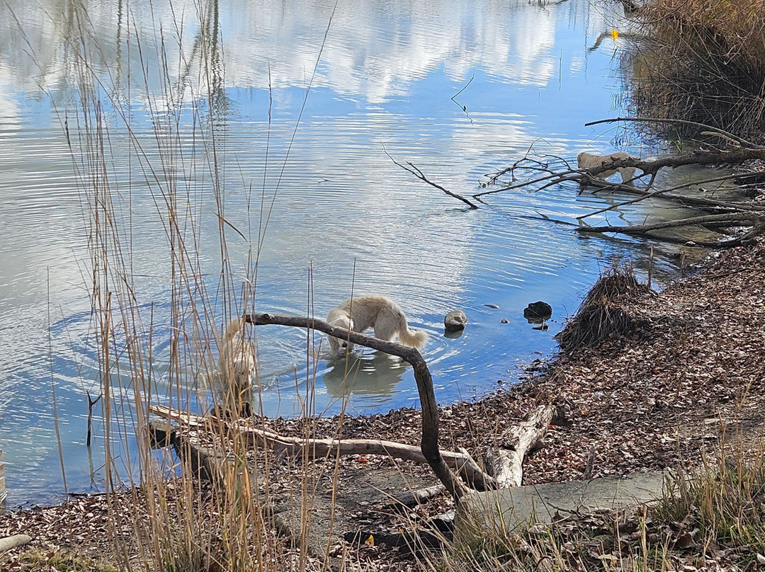 Azienda Agricola Gurrida-Randazzo必去景点
