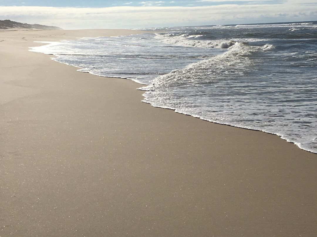 Quad Douro Explorer-Valadares必去景点