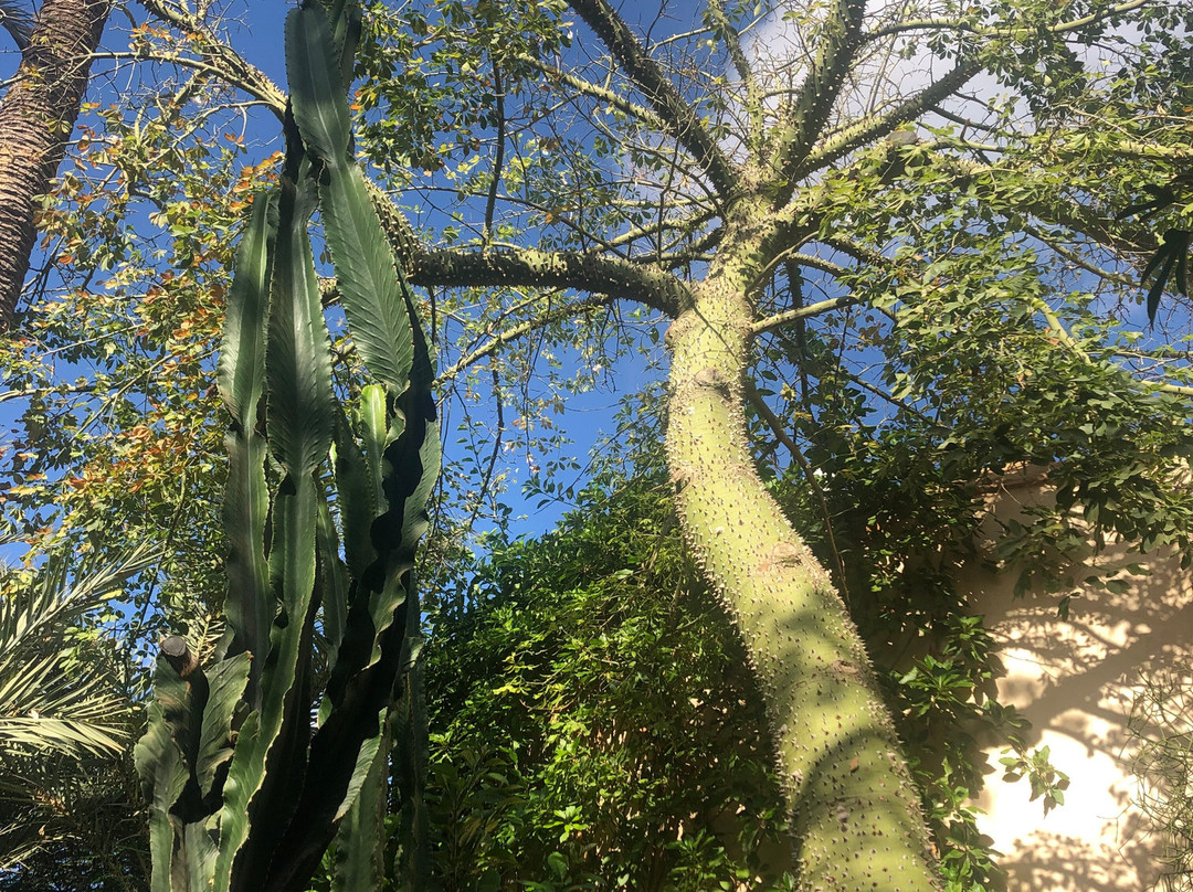 香颂秘密花园-马拉喀什必去景点