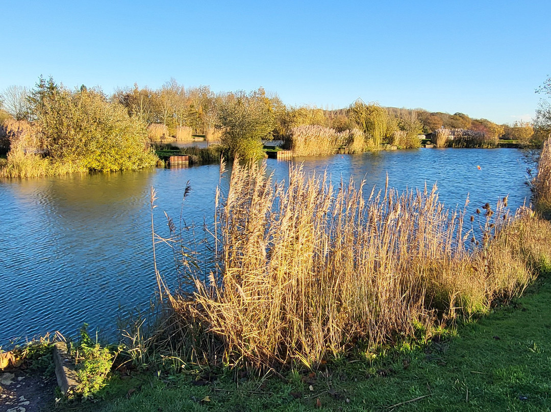 Hanworth Country Park-Potterhanworth必去景点