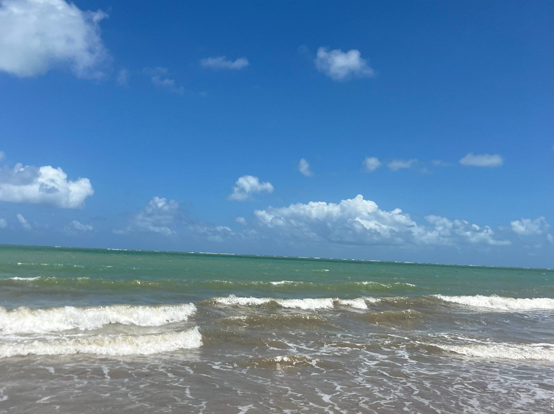 Praia da Ponta de Campina-Cabedelo必去景点