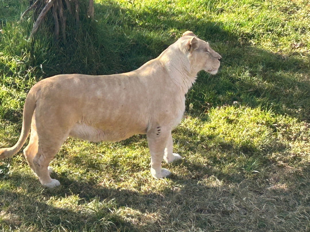 Unity Park-亚的斯亚贝巴必去景点