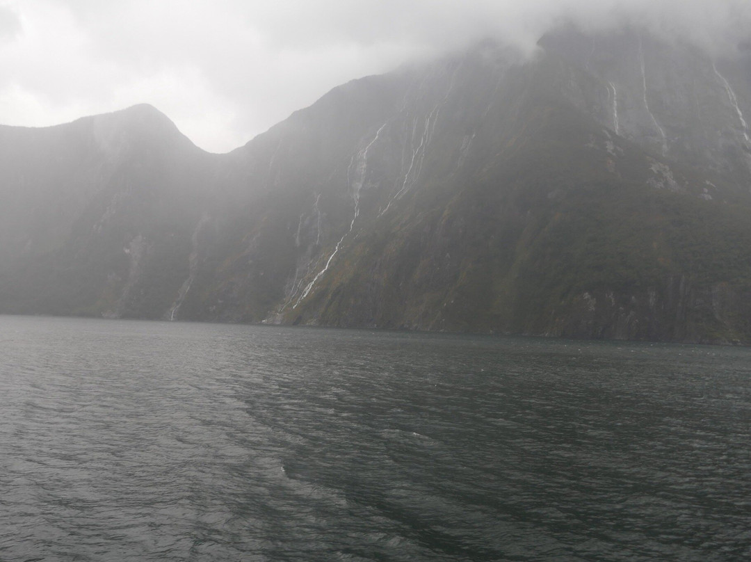Fiordland Expeditions - Doubtful Sound Overnight Cruises & Multi Day Charters-马纳普里必去景点