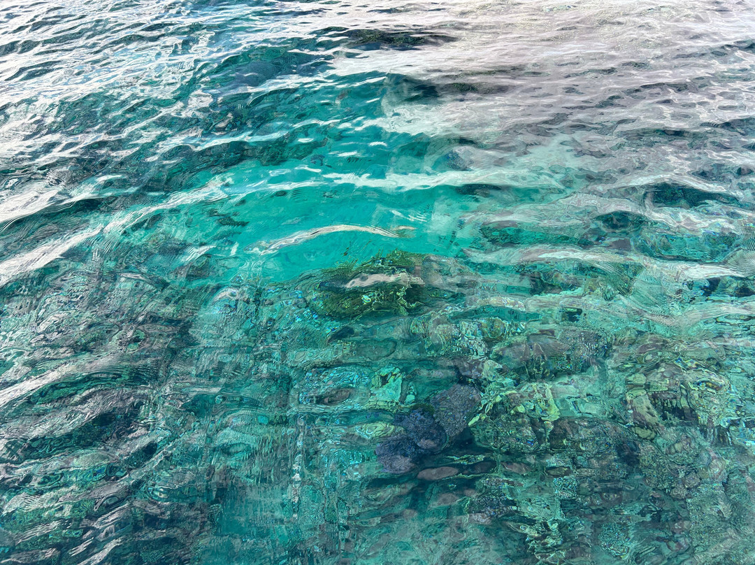 360 Excursions-沙姆沙伊赫必去景点