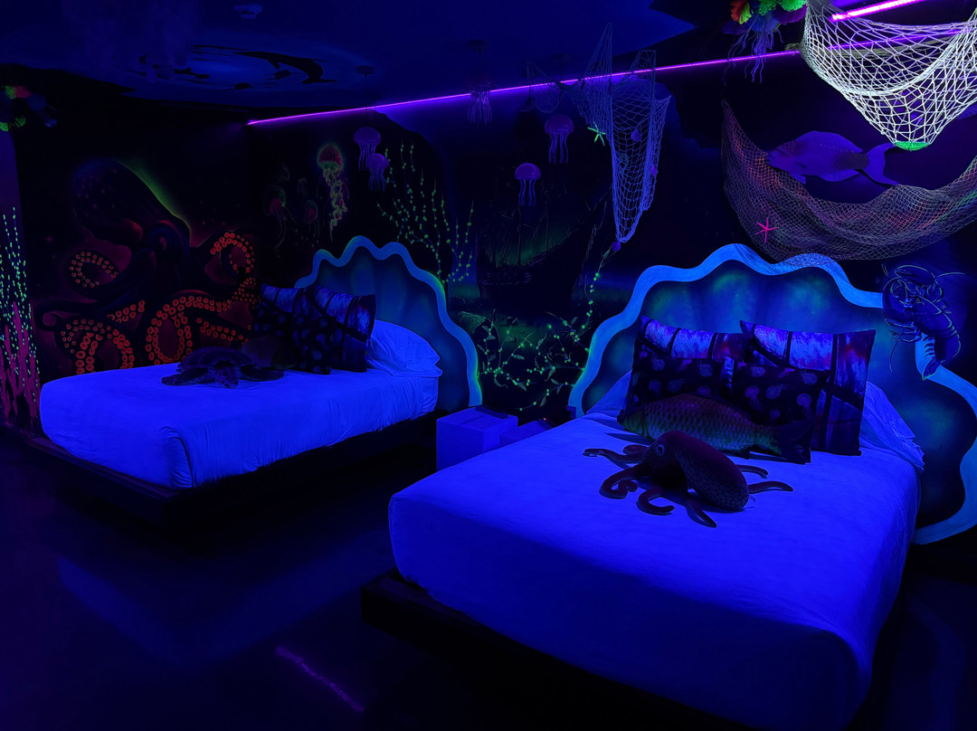 The Cove Hotel主图