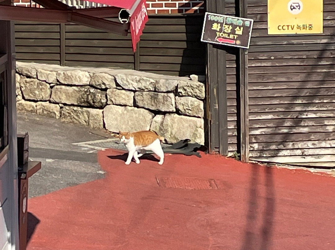 Dongguksa Temple-群山市必去景点