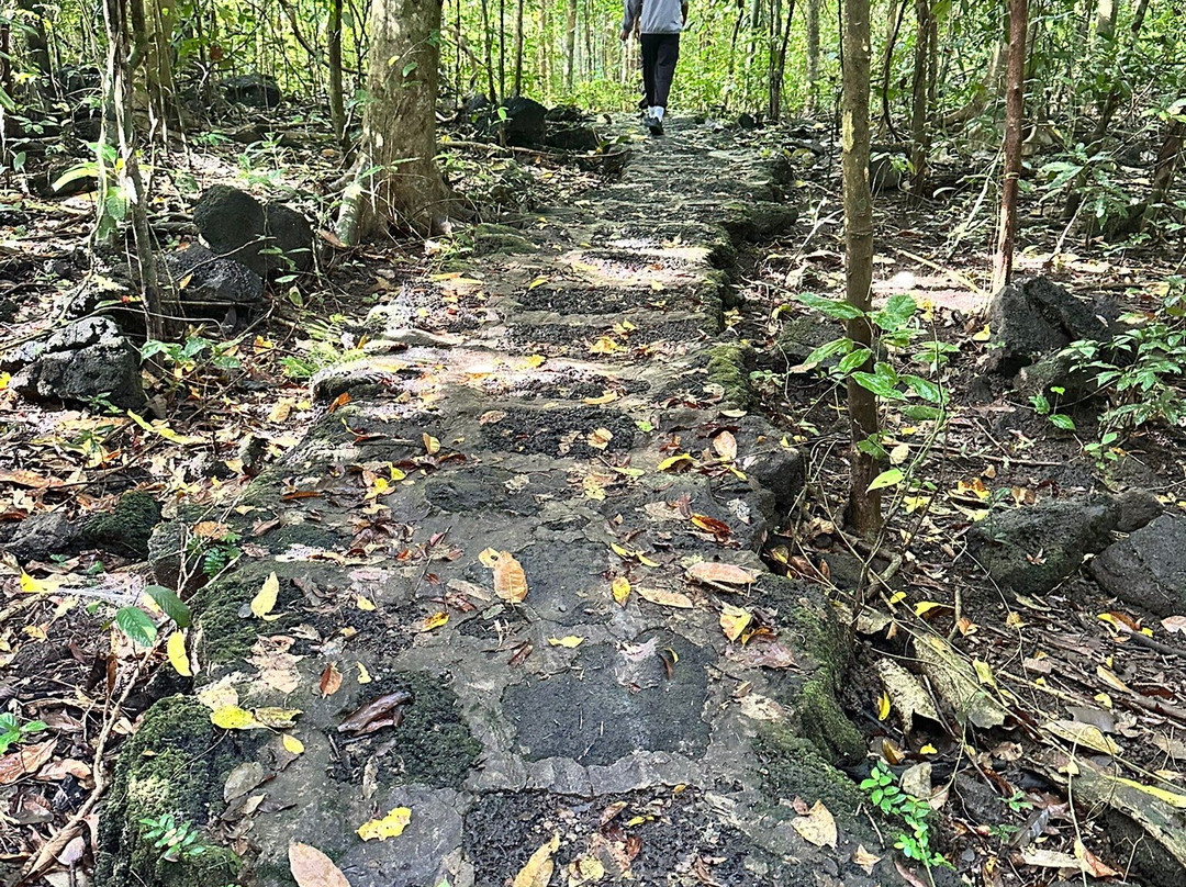 Crocodile Lake-Cat Tien National Park必去景点