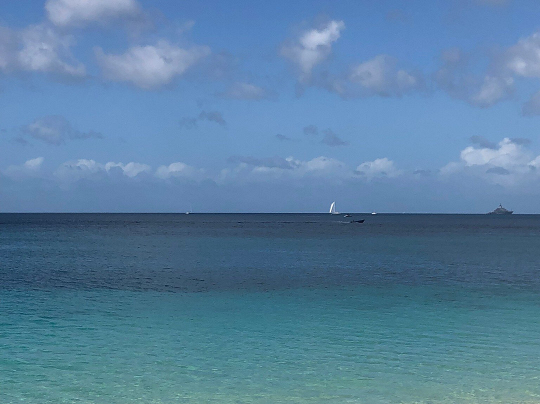 Eco Dive-St. George's必去景点