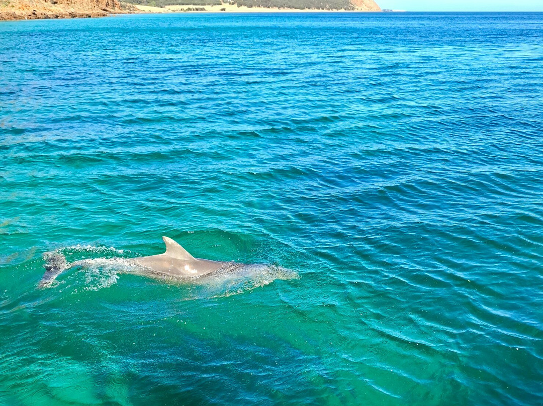 Emu Bay Fishing Charters-Emu Bay必去景点