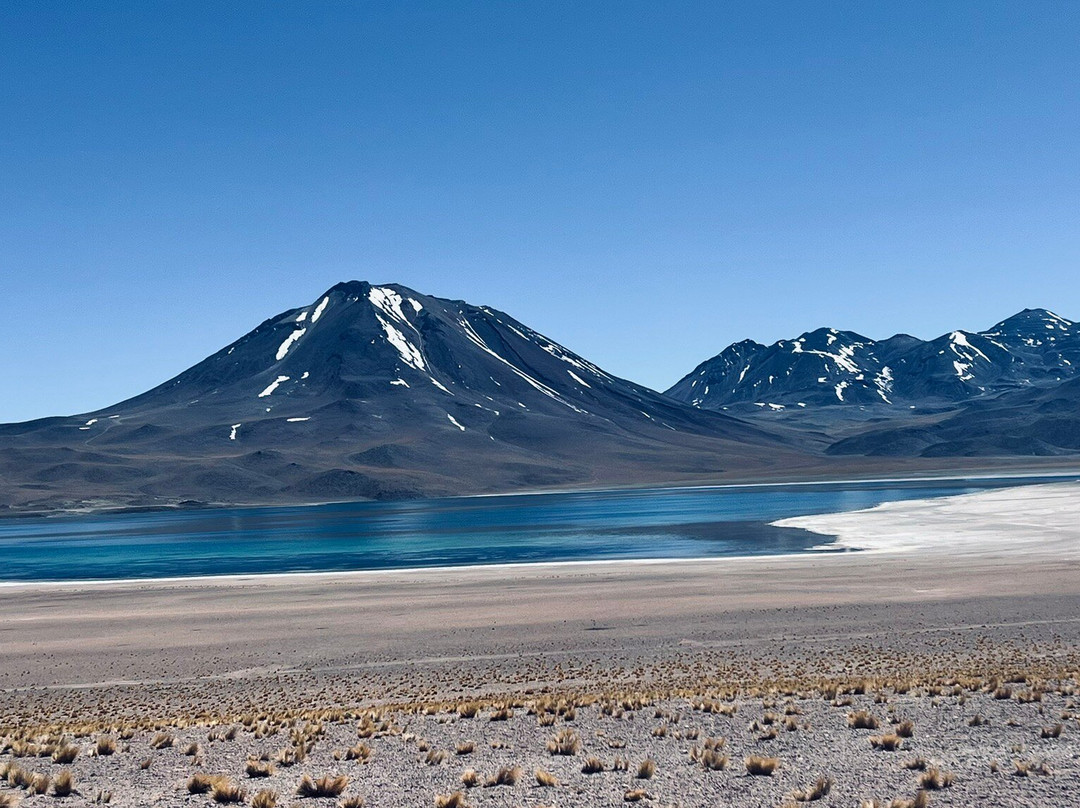 Lagunas Altiplanicas-圣佩德罗-德阿塔卡马必去景点