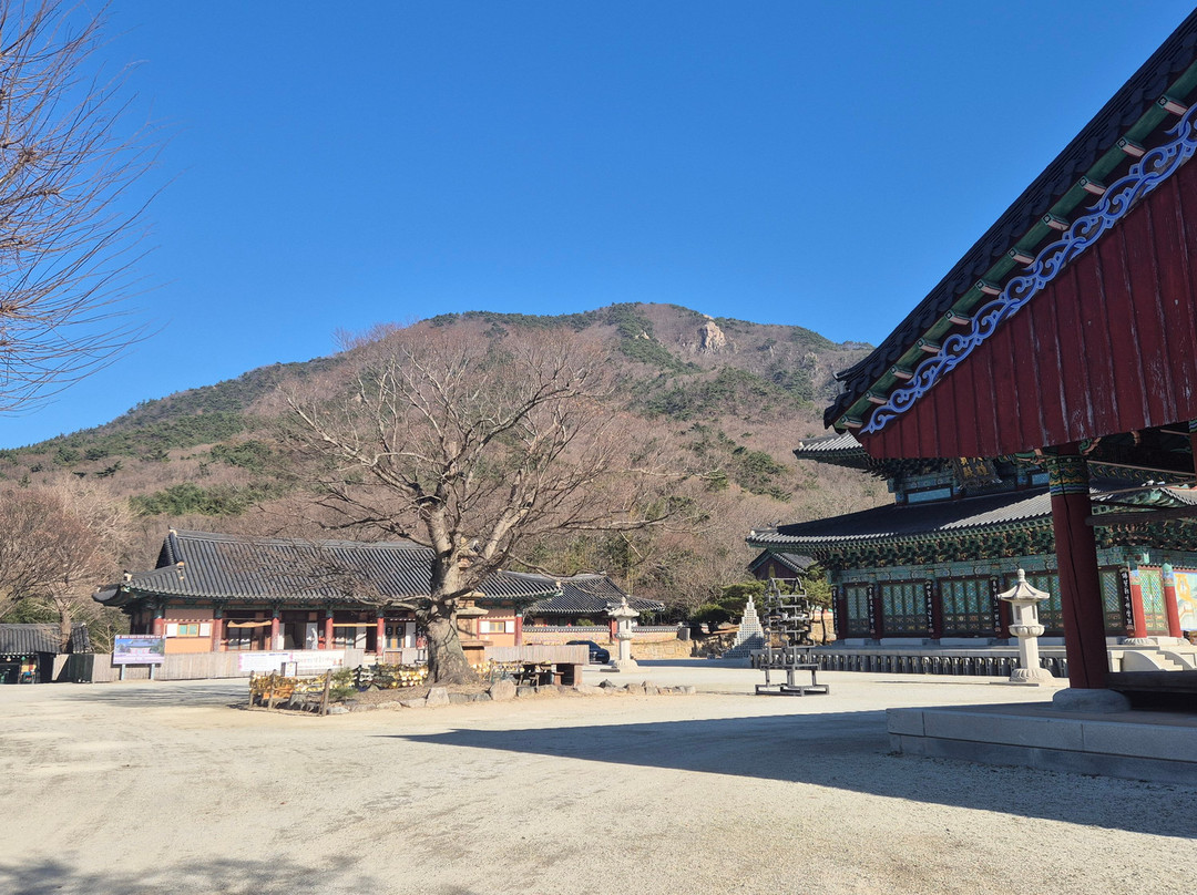 Dogapsa Temple-灵岩郡必去景点
