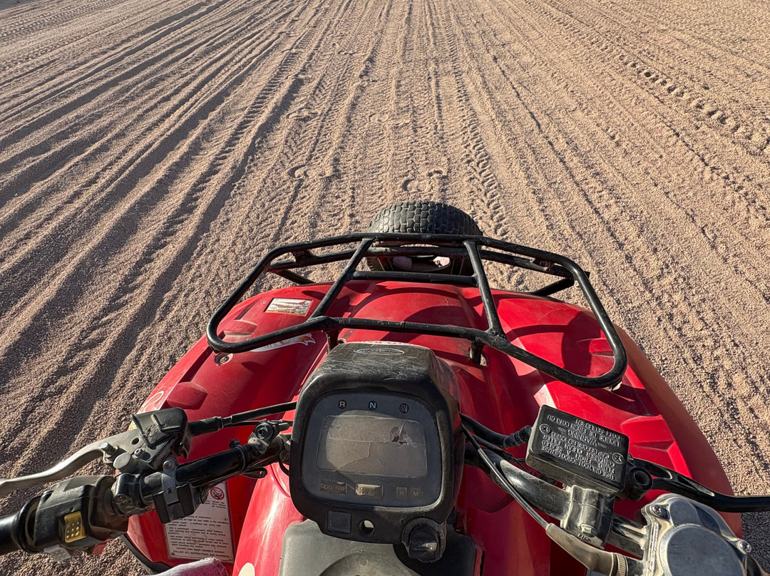 Bibo Viaggi-沙姆沙伊赫必去景点