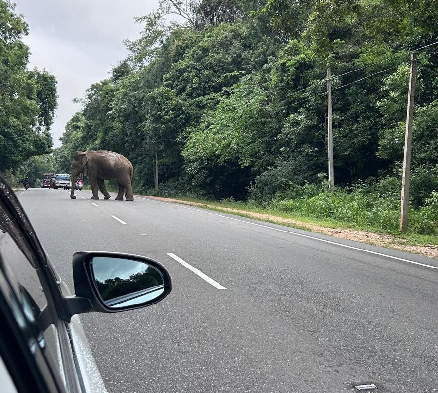 Sri Lanka Brothers Tour-尼甘布必去景点