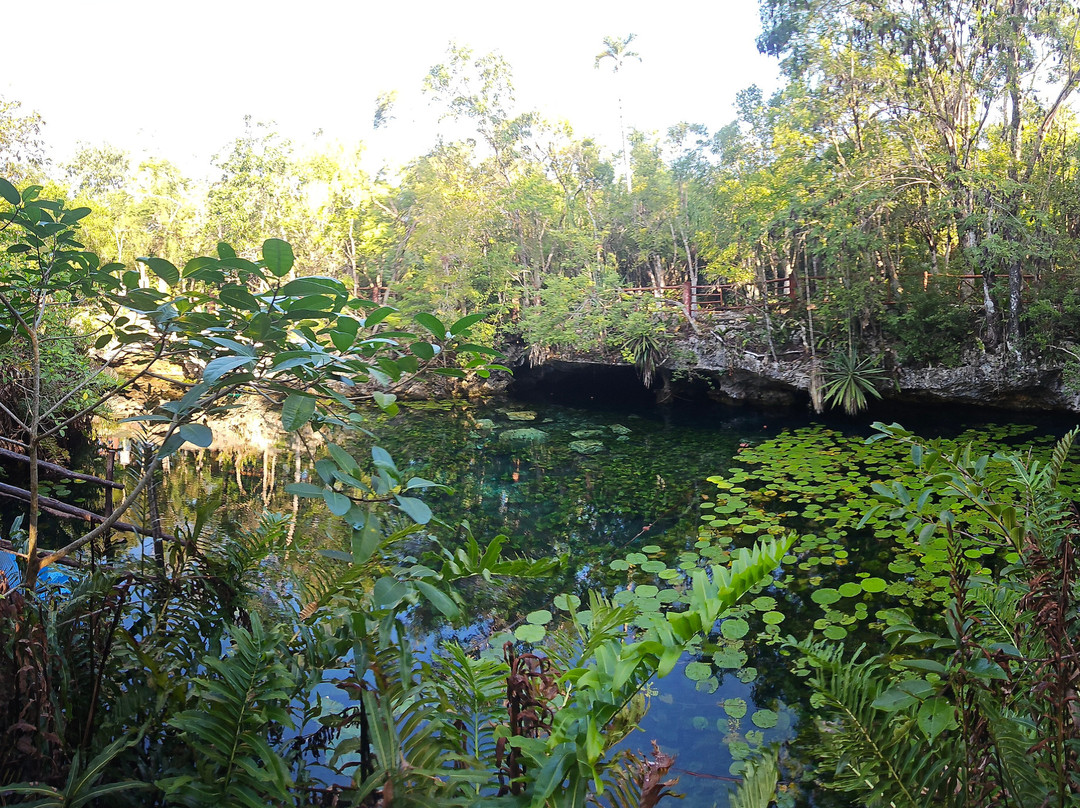 DeepDiveMexico-普拉亚德尔卡曼必去景点