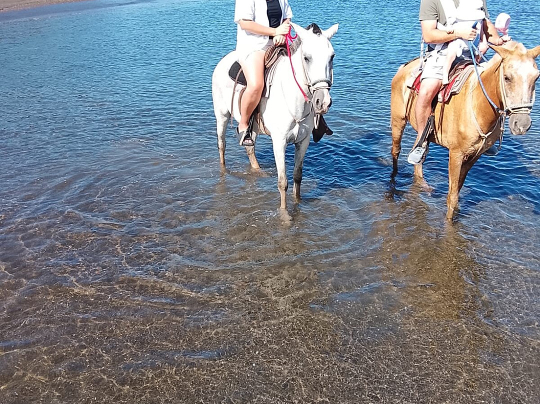 Water And Land Activities-Playa Panama必去景点