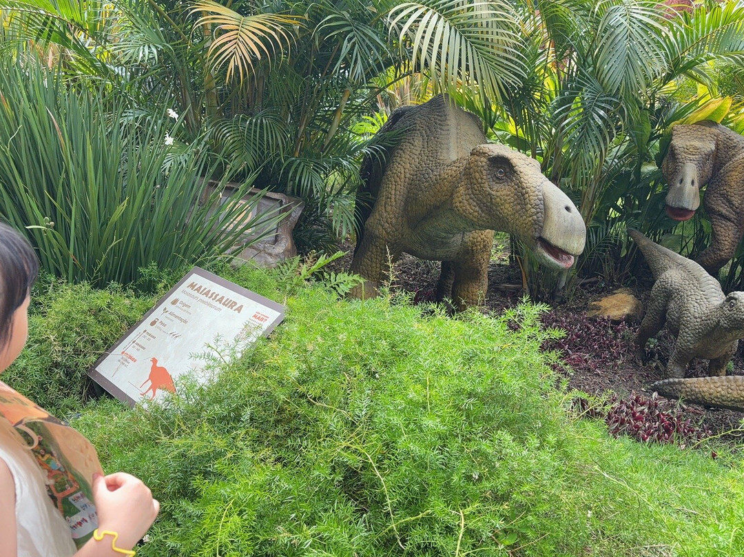 Aventura Jurássica-康泊琉海水浴场必去景点