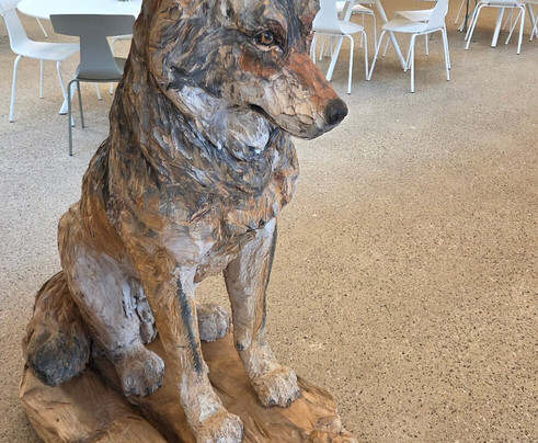 Nationalparkzentrum Ruhestein-Seebach必去景点