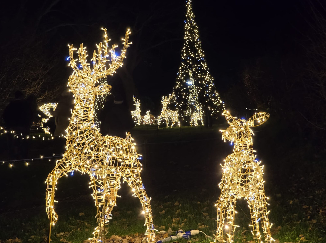Manorafon Farm Park-Abergele必去景点
