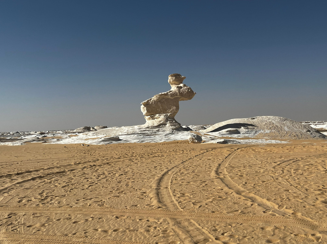 Western Desert Tours - Day Tour-Bawiti必去景点