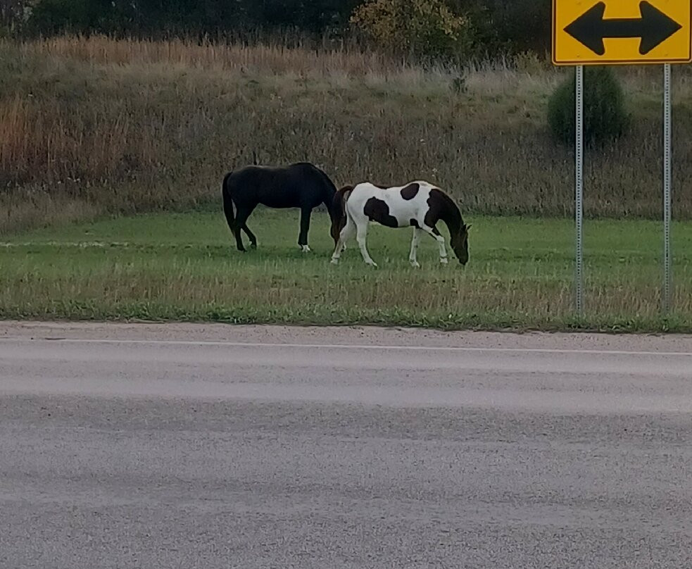 Wounded Knee Massacre Monument-Wounded Knee必去景点
