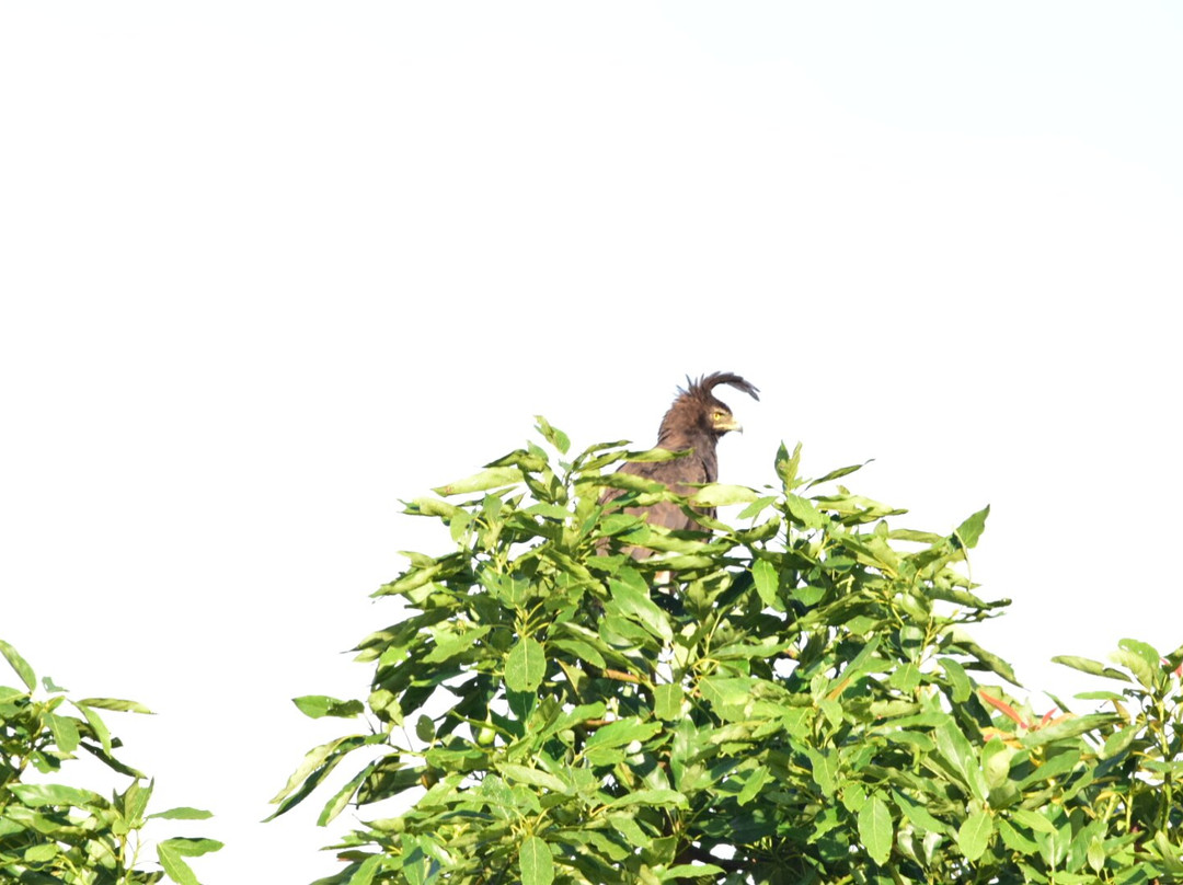 Famba Travel & Safaris-参宁必去景点