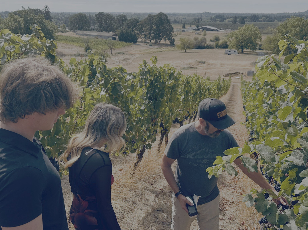 Natalies Estate Winery-纽伯格必去景点