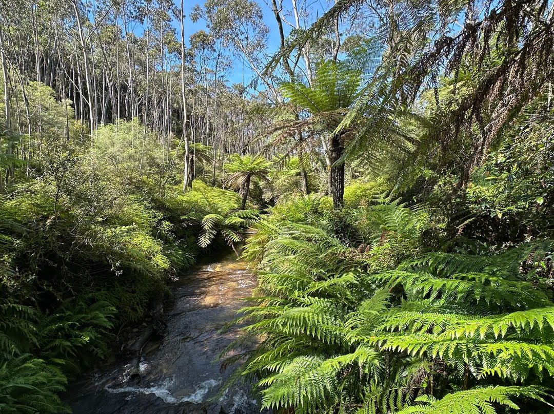 Blue Mountains Tours-格兰布鲁克必去景点