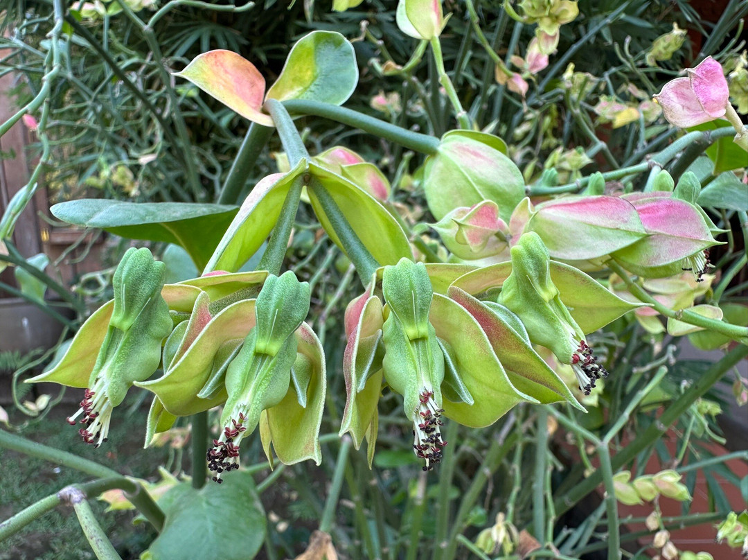 Lao Textile Museum-万象必去景点