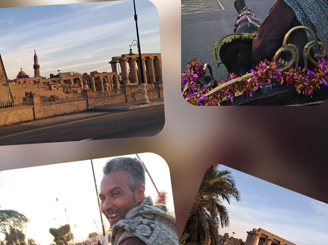 Hurghada Ausflug-艾高娜必去景点