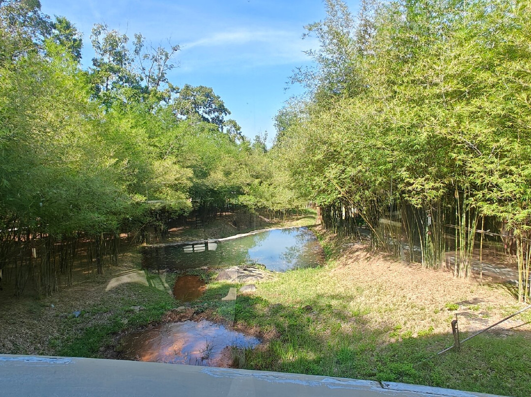 Sunyata Spa & Wellness Island Escape Burasari-Coconut Island必去景点