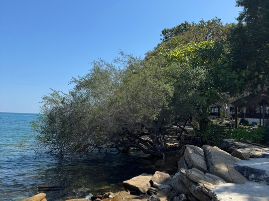 旺德安别墅主图