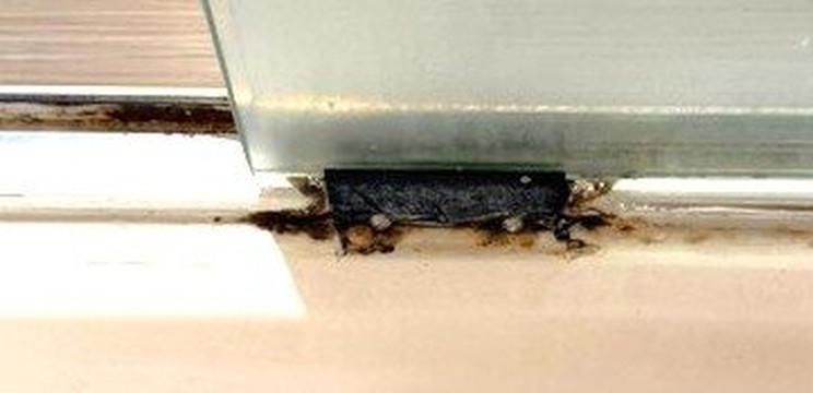 Hampton Inn & Suites Port Aransas主图