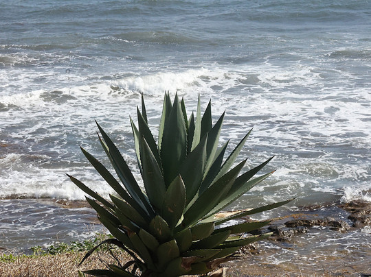 Spiaggia Scalo Mandrie-Portopalo di Capo Passero必去景点