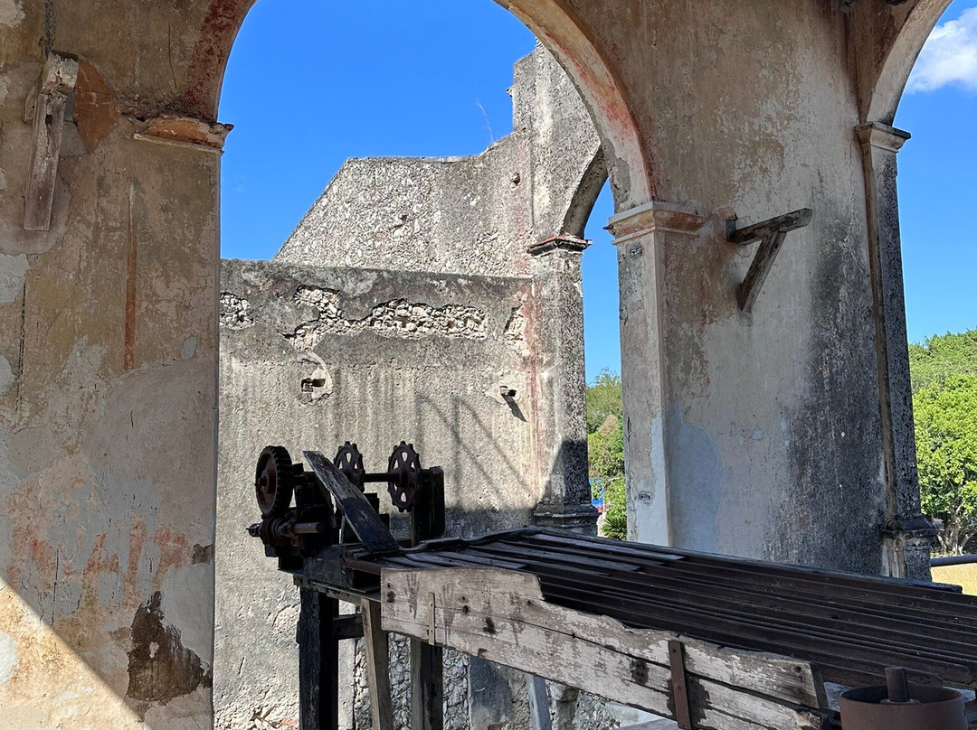 Yucango-梅里达必去景点