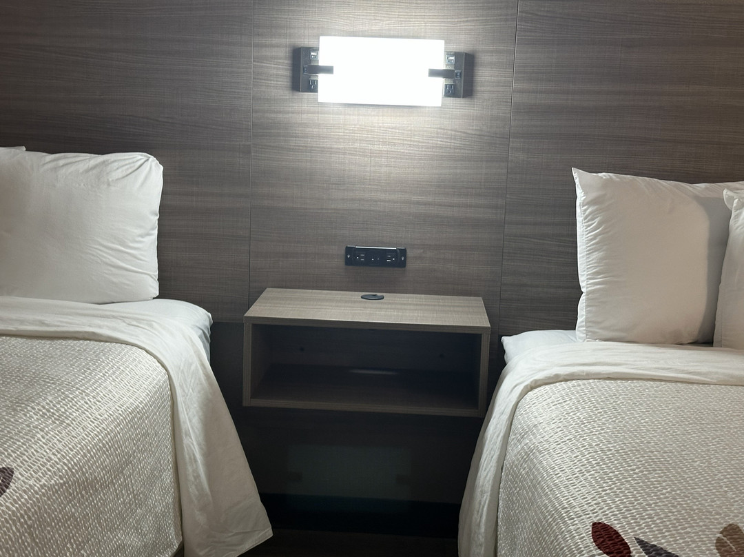 Red Roof Inn & Suites Middleborough主图