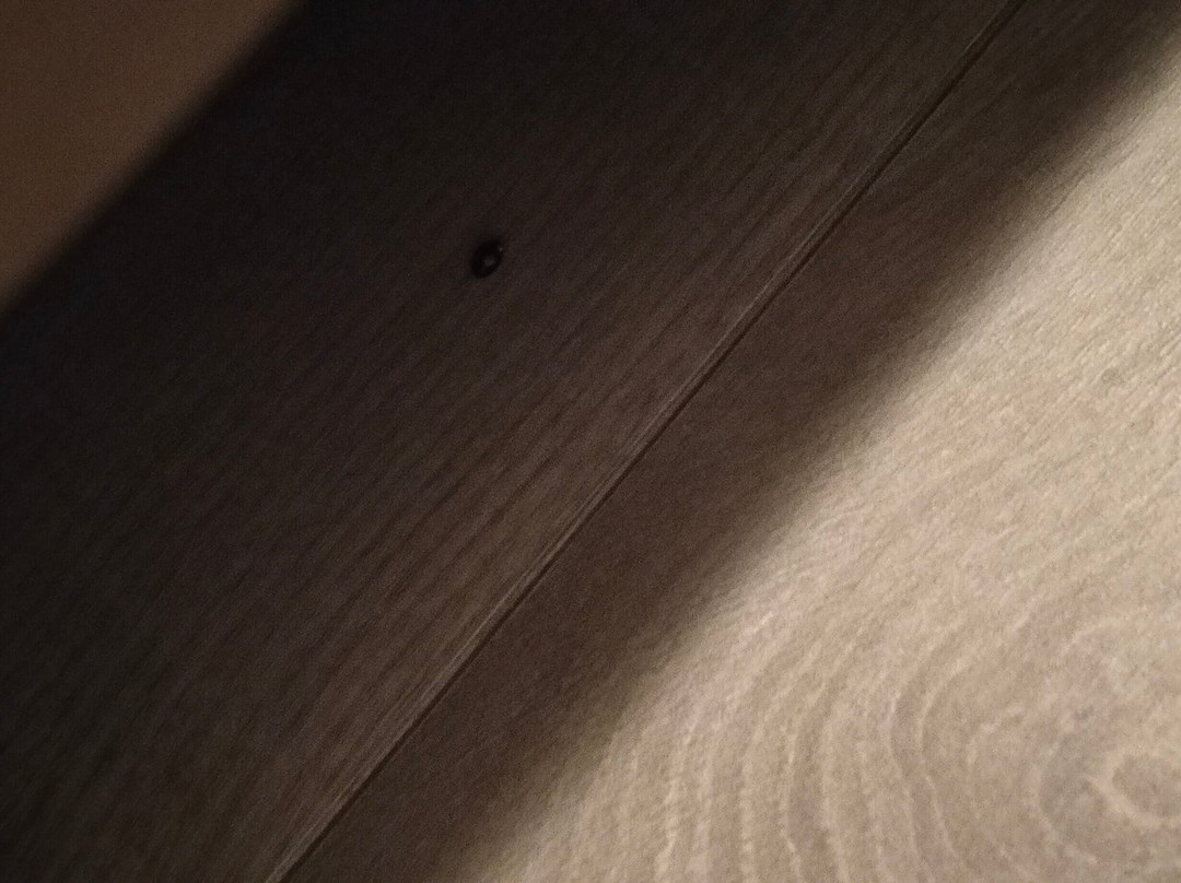 Domaine Long Pre主图