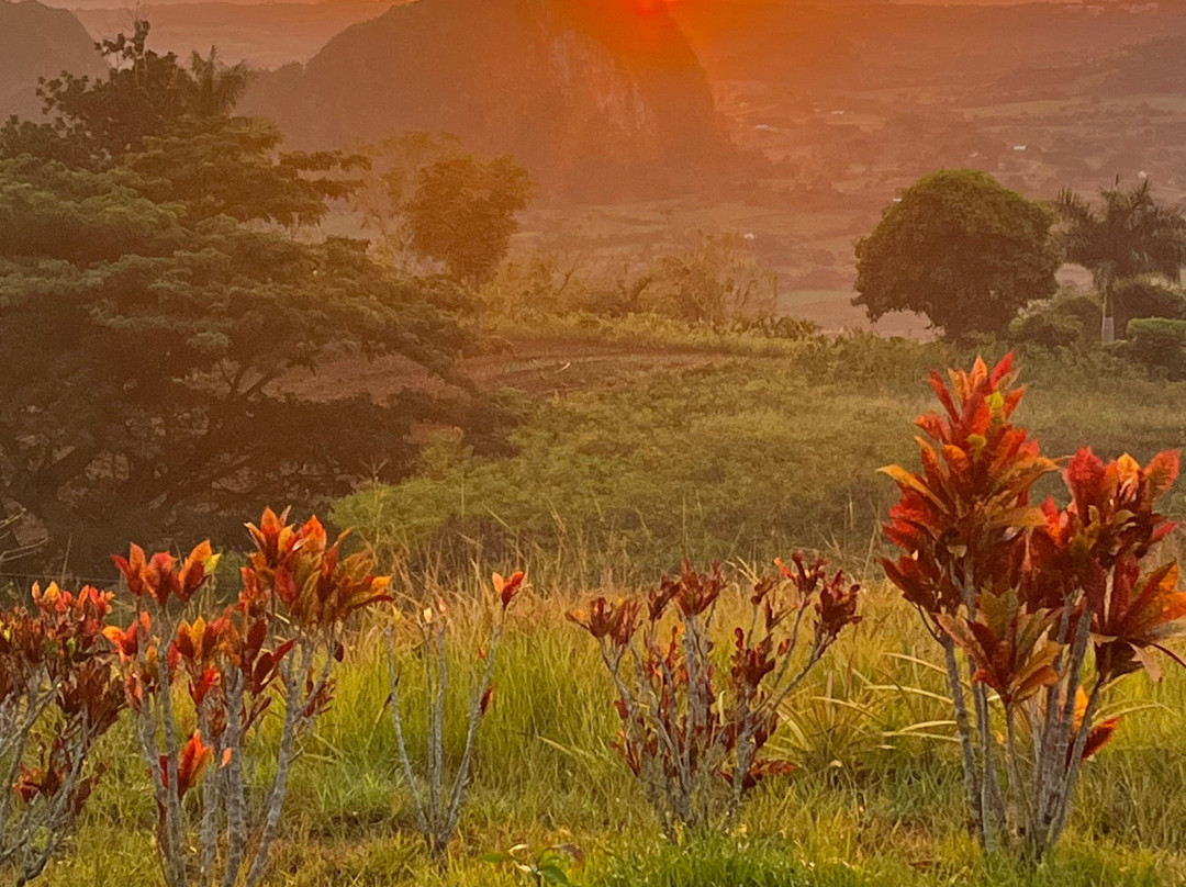 Finca L'Armonia-维纳勒斯必去景点