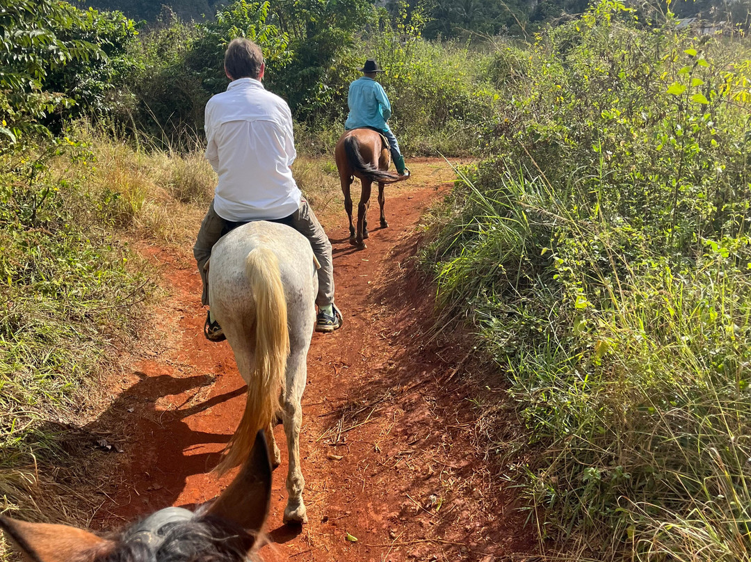 Finca L'Armonia-维纳勒斯必去景点