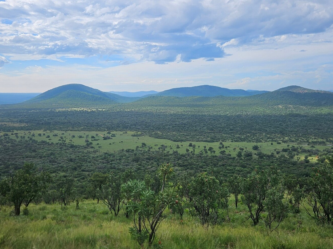 Letamo at Qwabi Private Game Reserve主图