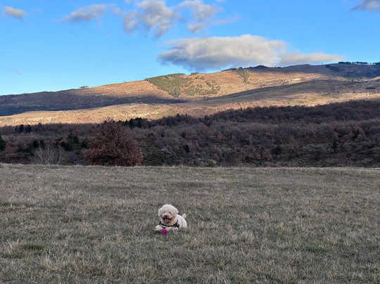 Country House Case Catalano主图