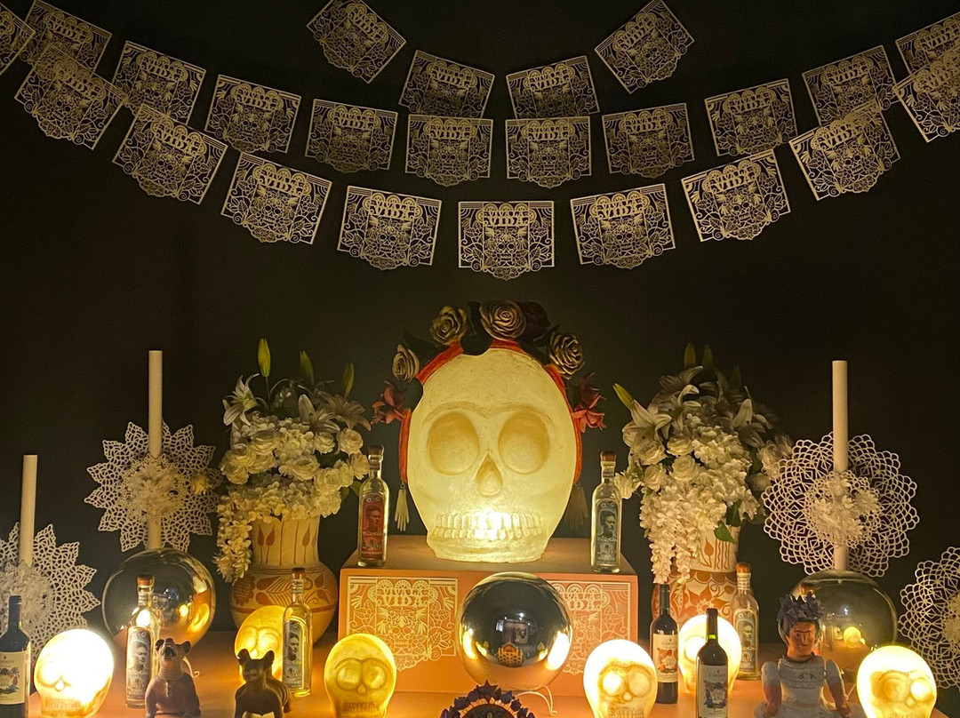 Museo Frida Kahlo-普拉亚德尔卡曼必去景点