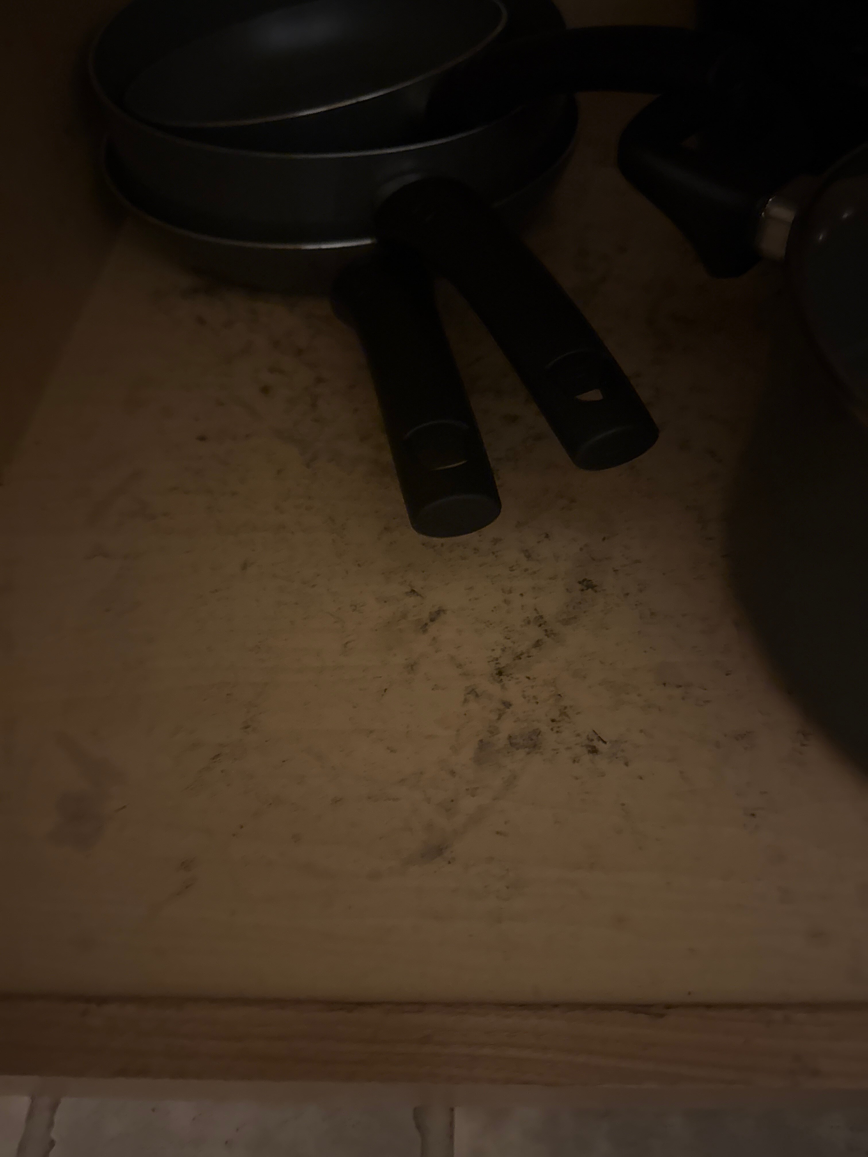 Salt Fork Lodge and Conference Center-官方