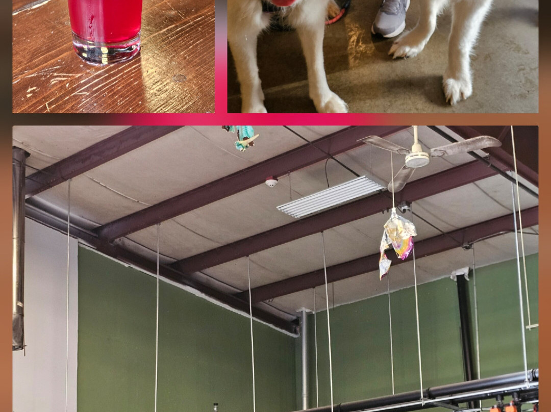 Postdoc Brewing Company-雷德蒙德必去景点