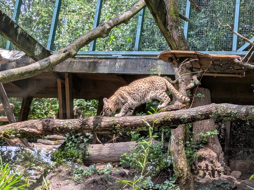 Les Terres De Nataé-Pont-Scorff必去景点