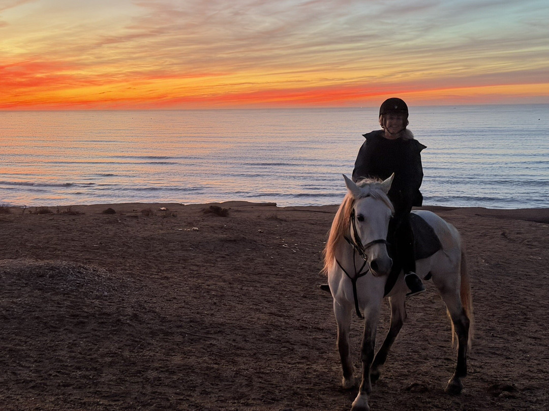 Cheval Agadir Ranch Acienda-奥瑞尔必去景点