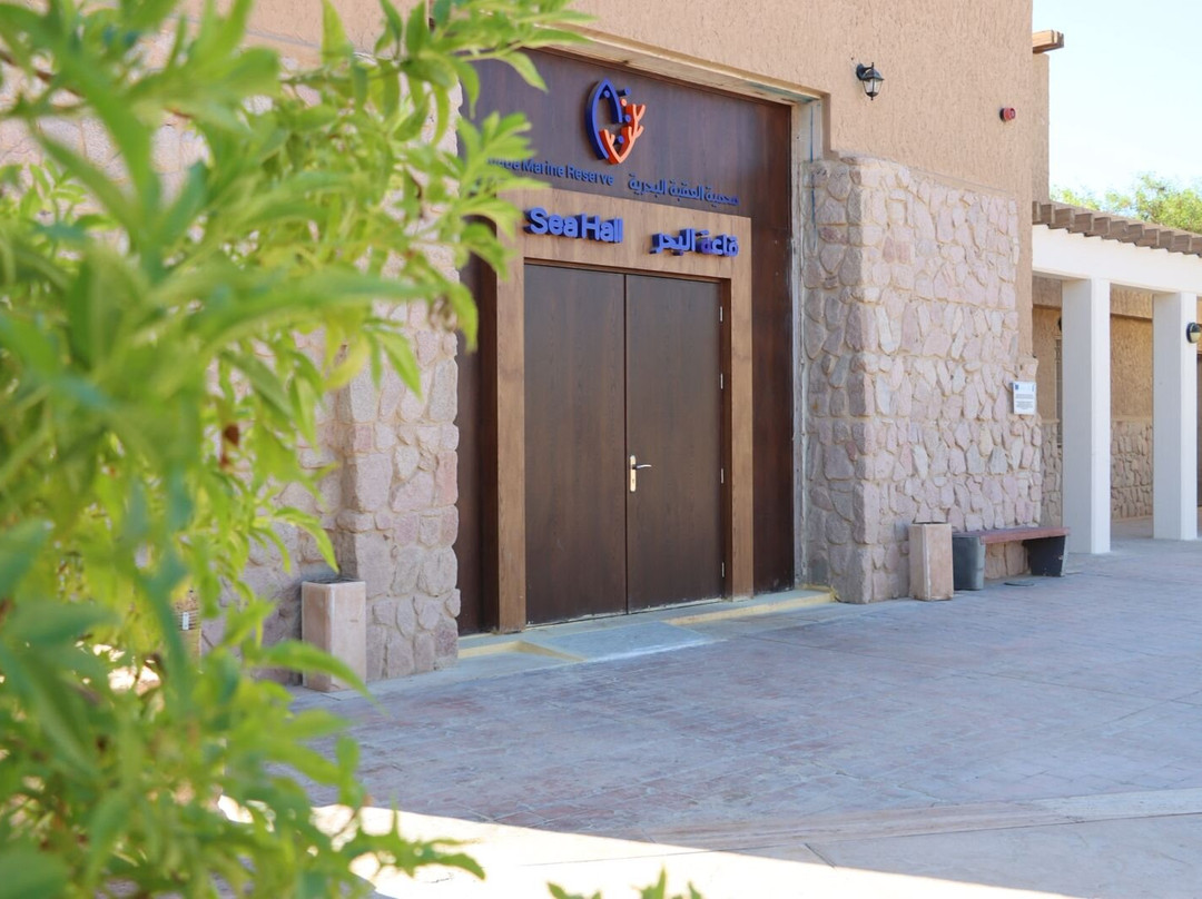 Aqaba Marine Park-亚喀巴必去景点