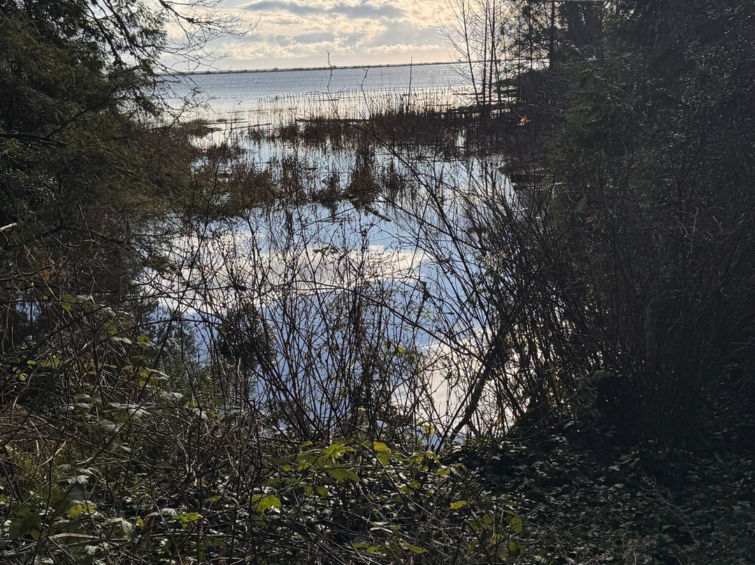 Esquimalt Lagoon Migratory Bird Sanctuary-Colwood必去景点