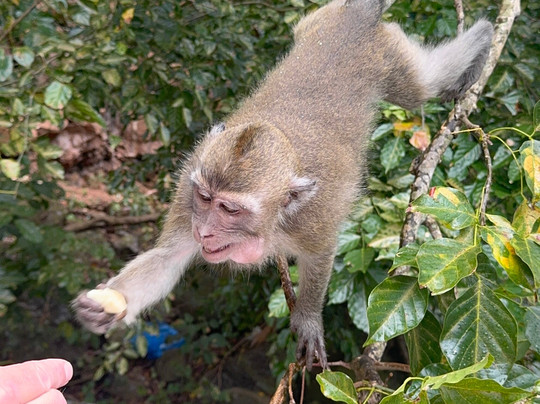 One Love Co Ltd.-毛里求斯必去景点