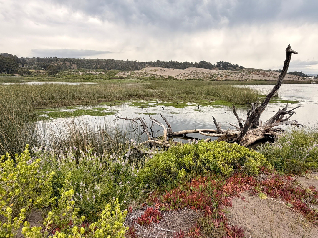 Posada del Parque-Quintero必去景点